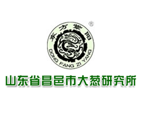 ɽ�|ʡ�����д��[�о���