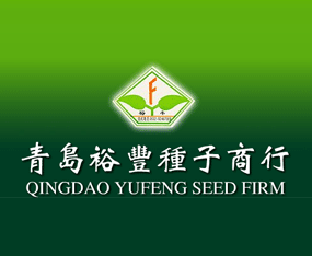 ���uԣ�S�N������