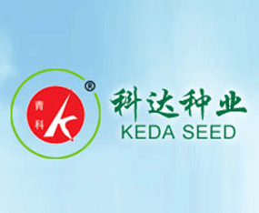 ���u��ꖿ��_(d��)�߲��о���