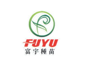 �麣�и���N�����޹�˾