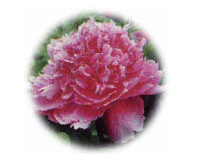 ɽ�|ʡ�ʝ��в��ݻ������޹�˾