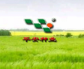 ����ʡƽ���N�I(y��)���޹�˾