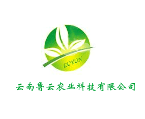 ���ϵώ��r(n��ng)�I(y��)�Ƽ����޹�˾