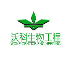 �������ֿ����﹤�����޹�˾