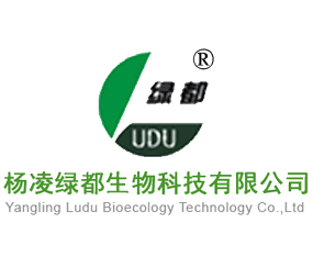 ����G������Ƽ����޹�˾