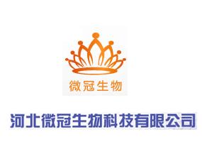 �ӱ�΢������Ƽ����޹�˾