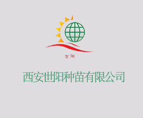 ������ꖷN�����޹�˾