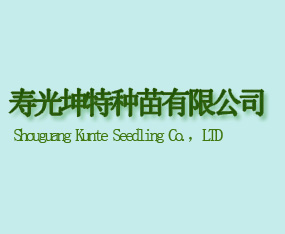 �۹����طN�����޹�˾