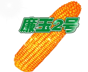 �ӱ��G�S�N�I(y��)���޹�˾