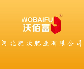 �ӱ����ַʘI(y��)���޹�˾