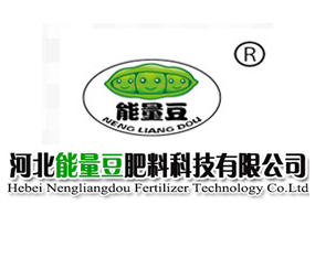 �ӱ����������ϿƼ����޹�˾