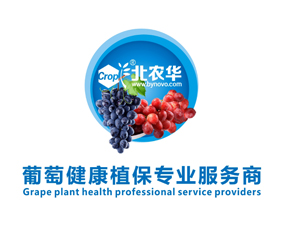 �������r�A�r���ﱣ�o���޹�˾