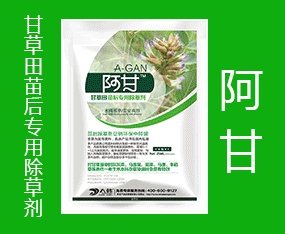 ���ݴ��n����ƌW(xu��)���޹�˾����2015��ɽ�|ֲ����(hu��)-2015��21��ɽ�|ֲ����Ϣ�������r(n��ng)ˎе���ו�(hu��)