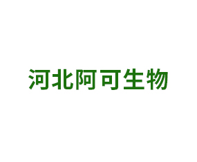 �ӱ���������Ƽ����޹�˾