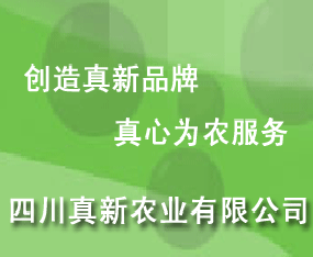 �Ĵ������r(n��ng)�I(y��)���޹�˾