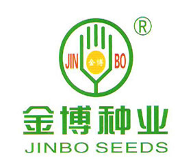 �½��𲩷N�I(y��)����