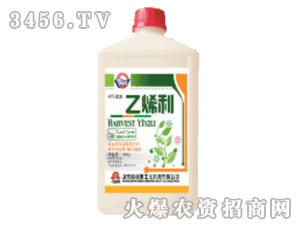 ���S˹��ϩ��