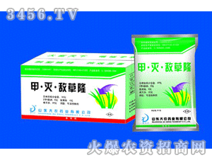 ��-��-����¡