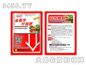 ��̩��-�~���