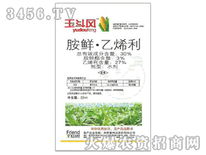 �����_(d��)-���L(f��ng)