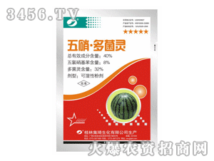 ������������` 