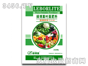 �G���R����ڌ���(100g)