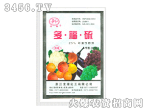 ����-25%��รWP