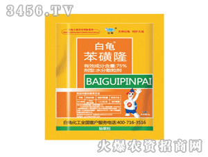 ����-����¡