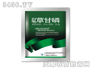 �����ݸ��