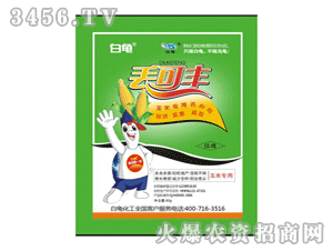 �����G���S(���׌�(zhu��n)��)