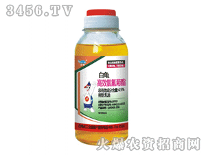 ������Ч�������