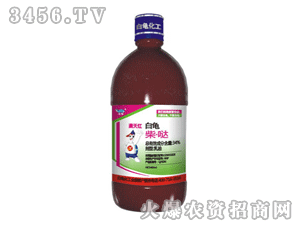 �����M��t