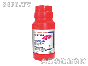 ����-����-������