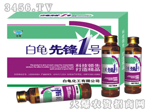 �������h1̖(h��o)