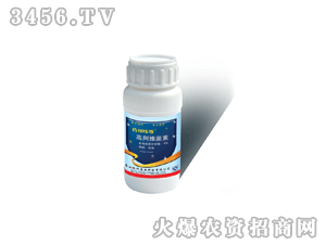 �ϰ��-�߰��S����