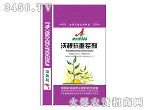 �Ӽ���-�ָ����ز焩