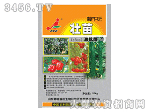 �Ӽ���-����ò���