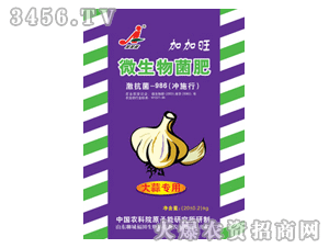 �Ӽ���-΢�������