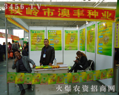 �F�X�а��S�N�I(y��)