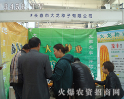 �L���д����N��