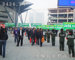 ���˰l(f��)�����Լ��Ĺ�â