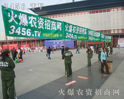 ꖹ������҂��Ĳ�����Ȼ�pӯ