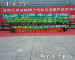 �҂����ܵ��𱬾W(w��ng)��(qi��ng)�ݵ���������