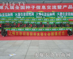 ����꠲��R�P��������ʮ��ı��^����