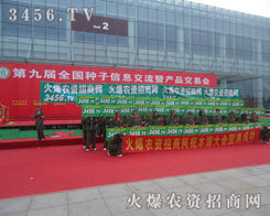 �𱬾W(w��ng)����ס���S�S���Ŀ��