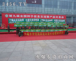 ��(hu��)��(ch��ng)��(n��i)���˚ⱬ�һƬ��ɽ�˺��ğ��[����