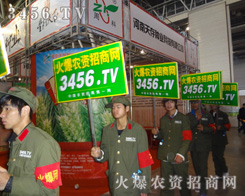 Ҫ��(zh��ng)�����A��Ҫƴ�����A