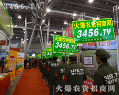 ͦ��������g�Ļ𱬾W(w��ng)