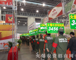 ���p�Ļ���,���P(y��ng)���ƏV·