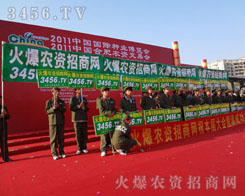 ������������ֱǰ